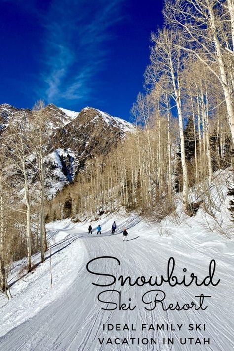 Are you considering Snowbird for your next family ski vacation? Great idea! Here are 10 tips to make your Snowbird stay awesome with kids. Snowbird Utah, Snow Vacation, Family Ski Vacation, Luxury Family Travel, Stay Awesome, Ideal Family, Family Ski, Family Ski Trip, Adventure Family