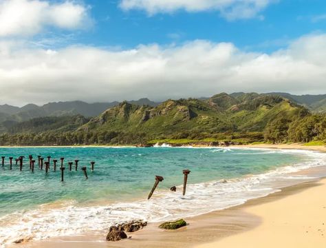 Top 5 Things to Do in Laie | Oahu Hawaii Laie Hawaii, Oahu Things To Do, Hawaii Guide, Things To Do In Oahu, Miss Hawaii, Waimea Bay, Hawaii Travel Guide, Aloha Hawaii, Beach Park