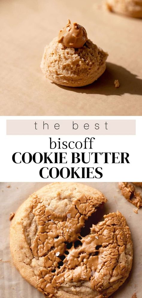 These biscoff butter cookies are super soft, extra gooey, and packed full of cinnamon cookie butter flavor. This easy no chill cookie dough is made in one bowl and they are ready to eat in 30 minutes! Chill Cookie Dough, Biscoff Butter, Biscoff Cookie Recipe, Cookie Butter Cookies, Biscoff Recipes, Vegetarian Cookies, Biscoff Cookie Butter, Biscoff Cookies, Cookie Butter