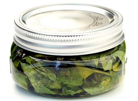 Healthy Green Kitchen Basil Preserved in Olive Oil » Healthy Green Kitchen Food Truck Ideas Recipes, Basil In Olive Oil, Preserve Fresh Basil, Storing Fresh Basil, Food Truck Ideas, Storing Basil, Preserving Basil, Dried Basil Leaves, Trendy Food