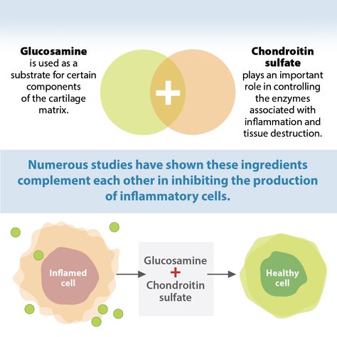 Numerous studies have shown that gluscosamine and chondroitin complement each other in inhibiting the production of infammatory cells. When chondroitin sulfate and glucosamine were used independently of each other, they did not show similar benefits. (Orth et al., 2002; Schlueter et al., 2004; Dechant et al., 2005). JOINT ARMOR is a scientifically formulated with hyaluronic acid, chondroitin sulfate, glucosamine, and manganese sulfate. It supports cartilage structure and joint function. Manganese Benefits, Glucosamine Chondroitin Benefits, Quercetin With Bromelain Benefits, Glucosamine Benefits, Glucosamine Chondroitin Msm Benefits, Glucosamine For Dogs, Magnesium Gluconate, Mineral Deficiency, Glucosamine Chondroitin