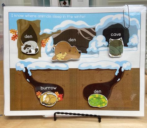 Find great ideas for a hibernation lesson at Child Care Aware Hibernating Animals Preschool, Hibernation Preschool Theme, Hibernation Preschool Crafts, Hibernation Preschool Activities, Hibernation Preschool, Hibernation Activities, Animals That Hibernate, Homeschool Nature Study, Winter Activities Preschool