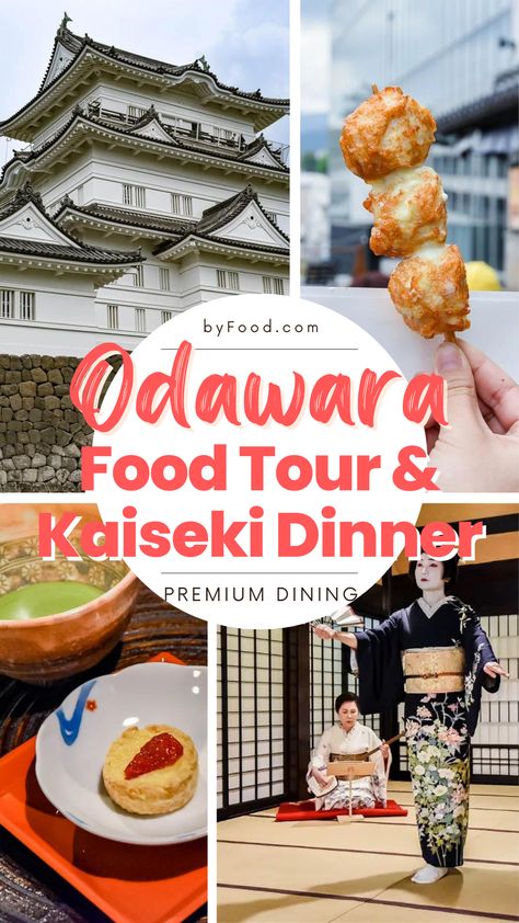 Discover the world of samurai and ninjas at the historic Odawara castle, followed by a traditional Japanese kaiseki meal with geisha! Odawara Japan, Odawara Castle, Japanese Kaiseki, Samurai Ninja, Japan Destinations, Japan Travel Tips, Food Tour, Cultural Experience, Food Tours