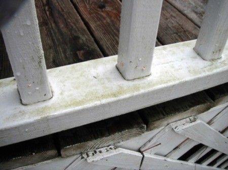 Cleaning Mildew off Vinyl Deck Railings | ThriftyFun Cleaning Composite Decking, Vinyl Deck Railing, Cleaning Naturally, Pvc Railing, White Vinyl Fence, Vinyl Deck, Vinyl Pergola, Patio Railing, Vinyl Railing