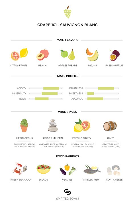 Everything you need to know about the Sauvignon Blanc grape Grape Varieties Wine Infographic, Sauvignon Blanc Pairing, Cheese Platers, Wine Chart, Simple Infographic, Grape Varieties, Food Pairing, Wine Expert, Wine Education