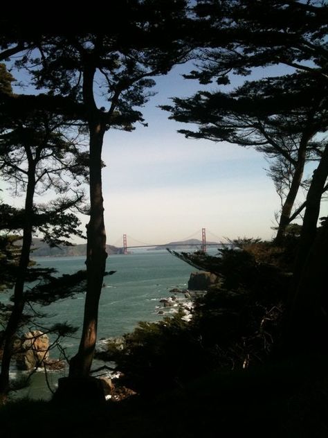 Hiking the Coastal Trail through Lands End in San Francisco by Jeannette Gonzalez Lands End San Francisco, Torrey Pines, Land's End, Travel Guides, Fun Things, Tanzania, Lands End, Budapest, Travel Guide