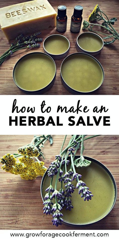 Making your own all natural herbal salve is so easy! This salve is the perfect beginner herbal medicine recipe for a budding herbalist. It treats minor cuts, scrapes, bruises, bites, stings, rashes and dry skin. It has astounding healing powers with all of the medicinal herbs it contains, and smells divine! Click through to learn how to make an herbal salve using healing herbs you can find in your own backyard or grow in your garden. #herbalism #herbalmedicine #salve #medicinal #allnatural Herbal Infused Oil Recipes, How To Infuse Oil With Herbs, Diy Infused Oils, Herbs In Oil, Apothecary Supplies, Herb Infused Oils, Herbal Preparations, Herbal Medicine Recipes, Salve Recipes