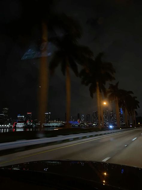 Miami At Night Aesthetic, Miami Night Aesthetic, Miami Aesthetic Night, Cool Playlist Covers, Florida At Night, Rainy Day Beach, Summer Night Vibes, Palmtrees Aesthetic, Miami At Night