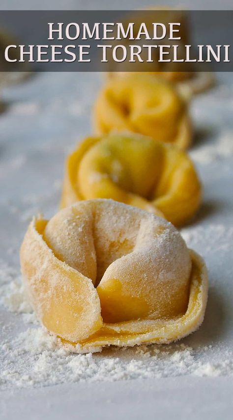 Homemade Cheese Tortellini starts with great homemade pasta. This cheese tortellini is filled with ricotta, Parmesan and fresh spinach. This is a step-by-step guide to making the perfect dough and turning it into tortellini. #homemadetortellini #cheesetortellini #ricottatortellini #homemadepasta Homemade Tortellini Dough, Homemade Tortilini Recipes, Homemade Cheese Tortellini, Homesteading Meals, Tortellini Filling, Recipes Tortellini, Perfect Dough, Homemade Tortellini, How To Make Tortellini