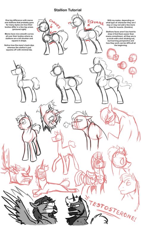 Stallion Tutorial by Assassin-or-Shadow.deviantart.com on @DeviantArt How To Draw Horses, Mlp Drawing, Mlp Fan Art, Not Now, My Little Pony Drawing, Mlp Pony, Pony Drawing, Mlp My Little Pony, Animal Sketches