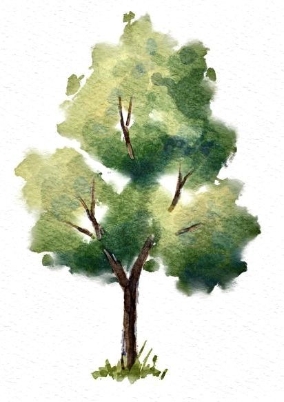 Tree Drawing With Watercolor, Tree With Watercolor, Watercolour Tree, Watercolour Trees, Tree Watercolor, Watercolor Trees Architecture, Realistic Tree Watercolor Painting, Watercolor Bushes Trees, Tree Watercolor Painting