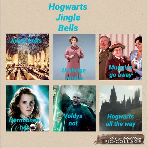 Funny Hogwarts, Harry Potter Memes Clean, Quotes Christmas Funny, Hogwarts Classes, Harry Potter Song, Funny Harry Potter, Funny Song, Hogwarts Christmas, Iconic Celebrities