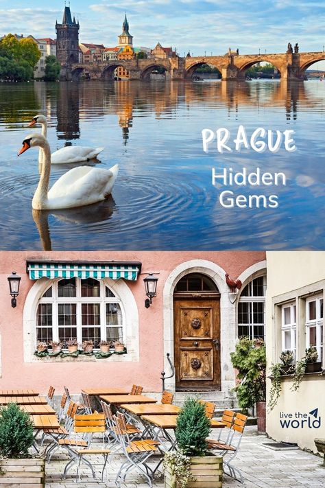 Must See In Prague, Prague Hidden Gems, Prague Tourist Map, Vinohrady Prague, Prague In Summer, Prague Must See, Prague Shopping, Travel To Prague, Prague Travel Guide