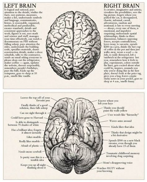 for me @BerilinPenceresi on instagram🌲 Science Vintage, Dream Psychology, Medical Drawings, Psychology Notes, Psychology Studies, Medical School Life, Forensic Psychology, Medical Wallpaper, Med School Motivation