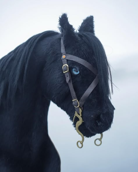 ★ ARTEMIS ★ on Instagram: “So anyway here’s my irl horse-.. NAH! It’s just Kaiser! (Did I fool you?😂) Kaiser just wanted to say that his video is FINALLY UP ON…” Horse Games, Stick Horses, Hobby Horses, Horse Inspiration, Funny Horses, Horse Boarding, Hobby Horse, Black Horse, My Hobby