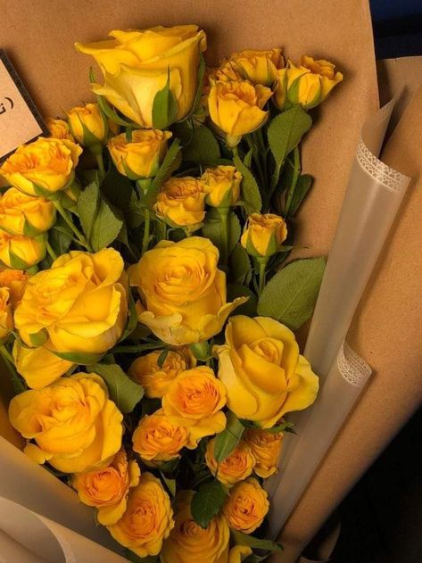 Yellow Rose Bouquet, Nice Good Morning Images, Yellow Rose Flower, Yellow Blossom, Flower Photoshoot, Boquette Flowers, Nothing But Flowers, Flower Therapy, Beautiful Flower Arrangements