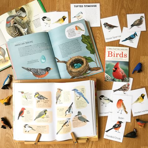 Homeschool nature-based unit studies Remarkably Bright Creatures, Science Unit Studies, Homeschool Nature, Unit Studies Homeschool, 1st Grade Science, 4th Grade Science, Animal Study, Family Learning, Love The Earth