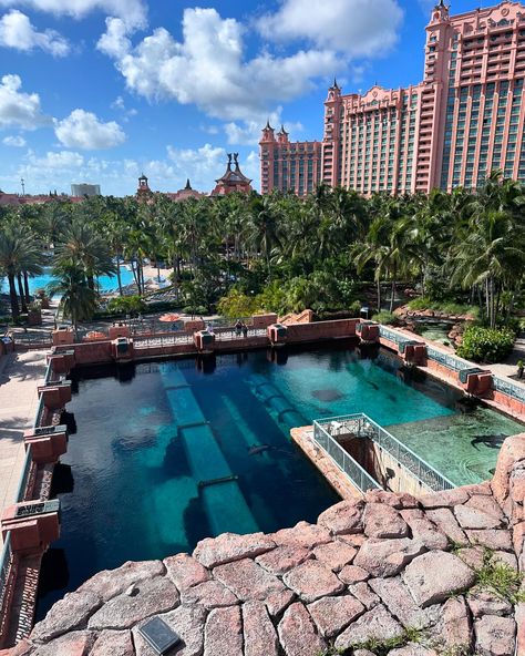 Escape to Atlantis Resort in the Bahamas! Looking for your next unforgettable getaway? Atlantis Bahamas offers the ultimate luxury vacation experience, where adventure meets relaxation in paradise. 🌊 Aquaventure Waterpark - Thrilling slides and lazy rivers for all ages! 🏝️ Private Beaches - Perfect for unwinding in the sun. 🐠 Marine Life Adventures - Explore the ocean’s wonders in the resort’s stunning aquarium. 🍽️ World-Class Dining - Savor gourmet cuisine from top chefs. 💦 Luxury Po... Atlantis Aquaventure, Atlantis Resort, Atlantis Bahamas, Waterpark, The Bahamas, Life Is An Adventure, Luxury Vacation, Atlantis, Water Park