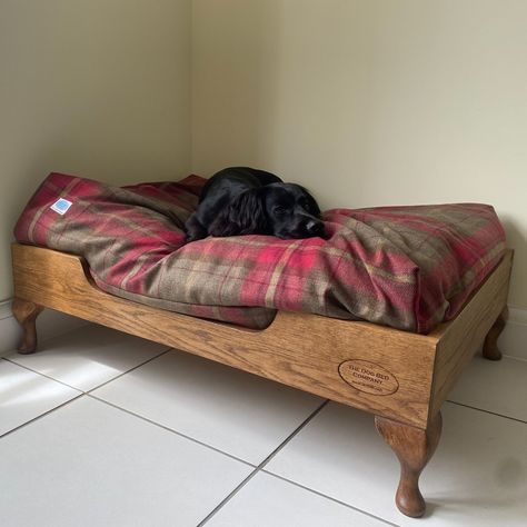 Gallery — The Dog Bed Company Office Dog Bed, Wooden Dog Beds, Raised Wooden Dog Bed, Diy Elevated Dog Bed, Crib Mattress Dog Bed, Easy Dog Bed, Dog Nook, Giant Dog Beds, Wood Dog Bed