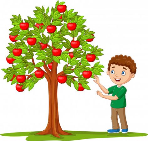 Isolated cartoon boy picking apples from... | Premium Vector #Freepik #vector #food #tree #leaf #character Picking Apples, Tree Story, Apple Baskets, Fruit Cartoon, The Giving Tree, Cartoon Boy, Apple Picking, Apple Tree, Kids Nutrition