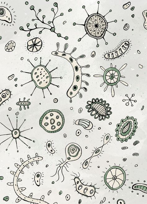 Biological Sciences Wallpaper, Biology Drawing, Science Drawing, Animal Cells, Plant And Animal Cells, Lab Logo, Science Background, Capa De Caderno Personalizada, Biology Art