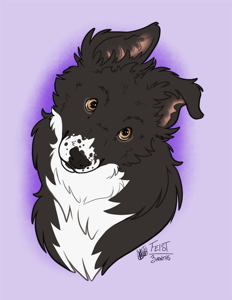 Border Collie Cartoon, Collie Tattoo, Border Collie Tattoo, Dog Border Collie, Drawing Borders, Nature Drawings, Border Collie Art, Principles Of Animation, Tattoo Dog