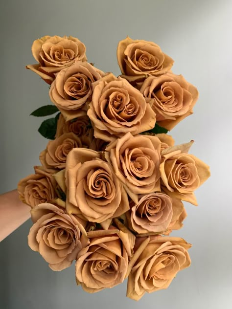 Cute Wallpapers Aesthetic Brown, Wallpapers Aesthetic Brown, Toffee Roses, Brown Roses, Cute Wallpapers Aesthetic, Rose Varieties, Aesthetic Brown, Caramel Coffee, Brown Flower