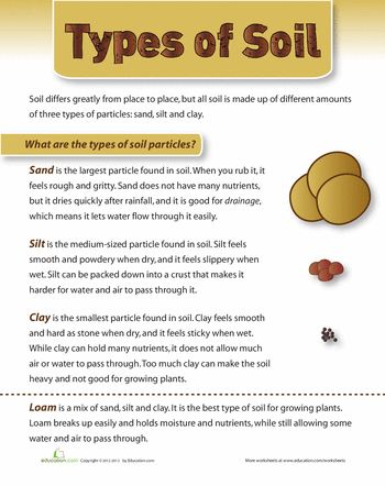 Types of Soil my lawn has too much water in one spot and no grass can grow. Soil Worksheet, Horticulture Education, Grade 3 Science, Soil Types, Earth Space, Soil Texture, Rock Cycle, Third Grade Science, Ap Biology