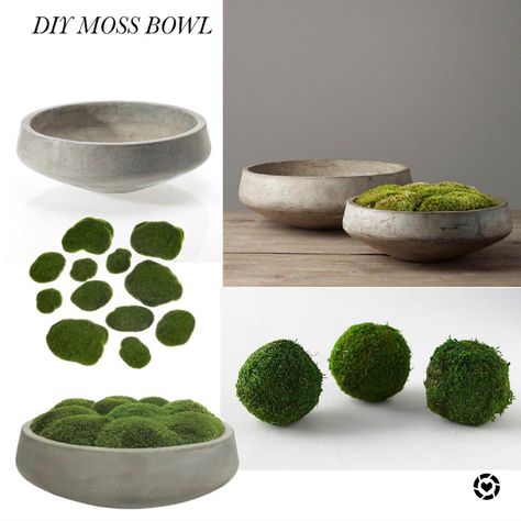 Moss bowl Moss Centerpieces Bowl, Moss Centrepiece, Moss Bowl Centerpiece Diy, Moss Centerpieces Diy, Moss Bowl Centerpiece, Moss Bowls, Mudroom Floor, Orchid Ideas, Moss Bowl