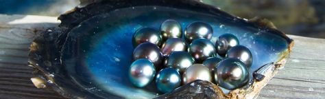 Pearl Farming, Pearl Meaning, How To Wear Pearls, Pearl Farm, Wear Pearls, Golden South Sea Pearls, Black Pearls, White Freshwater Pearl, Real Pearls