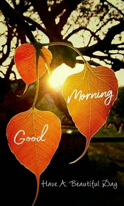 Good Morning For Love, Good Morning Happy Weekend, Love Good Morning, Beautiful Good Morning Images, Morning Sayings, Good Morning Sunday Images, Good Morning Tuesday, Beautiful Good Morning, Good Morning Nature