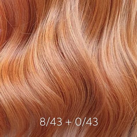 Wella Hair UK & Ireland on Instagram: “Diiiid somebody need some #WellaRed hairspiration? 🤩 Wella Passionista @hair__lust has coloured the perfect glossy red masterpiece using…” Peachy Blonde, Ginger Blonde Hair, Hair Twist Bun, Coral Hair, Red Blonde Hair, Strawberry Blonde Hair Color, Natural Red Hair, Perfect Hair Color, Peach Hair