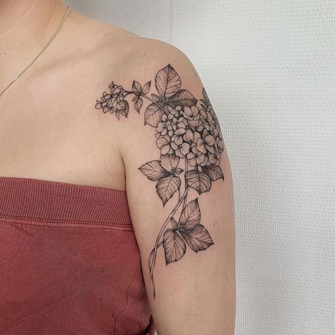 Snowball Bush Tattoo, Hydrangea And Daisy Tattoo, Hydrangea Outline Tattoo, Black Hydrangea Tattoo, Hydrangea Arm Tattoo, Hummingbird And Hydrangea Tattoo, Hydrangea Half Sleeve Tattoo, Hydrangea Back Tattoo, Hydrangea Tattoo Hip