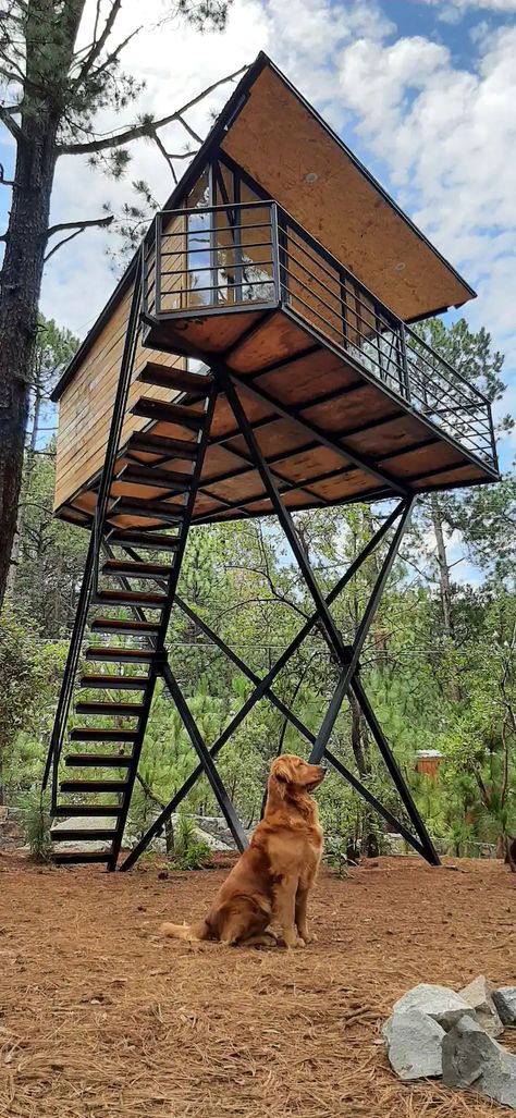 Glamping (Room) High 1, Pinochueco - Treehouses for Rent in Huasca de Ocampo, Hidalgo, Mexico - Airbnb Tree House Glamping, Elevated Houses, Mexico Airbnb, River Restaurant, Treehouse Masters, Fire Tower, Steel Building Homes, Framing Construction, Glamping Resorts