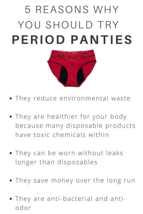 5 Reasons Why Period Panties Are A Gamechanger - Mama Minimalist Period Things, Organic Pads, Period Supplies, Period Poverty, Period Panty, Never Been Happier, Menstrual Products, Zero Waste Swaps, Female Hygiene