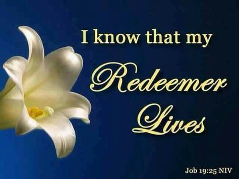 Job 19  :  25   NIV My Redeemer Lives, Resurrection Day, Resurrection Sunday, Because He Lives, He Lives, For God So Loved The World, Favorite Bible Verses, Lord And Savior, Son Of God