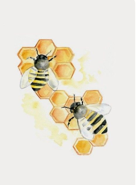 Watercolor Paint, Honeycomb, Bee, Paint, Yellow