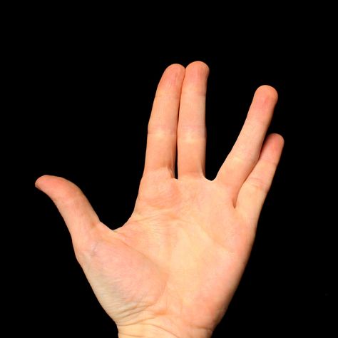 Spock Hand, Spock Star Trek, Hand Aesthetic, Legend Images, Live Long And Prosper, League Of Legends Memes, Silhouette Design Studio, Site Words, Leonard Nimoy