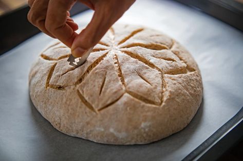 how-to-score-bread-dough-FT-BLOG1020 Dough Scoring, Sourdough Scoring, Baking Bread At Home, Bread Scoring, Bread Lame, Scoring Tool, Sourdough Baking, Bread Making, Baking Company