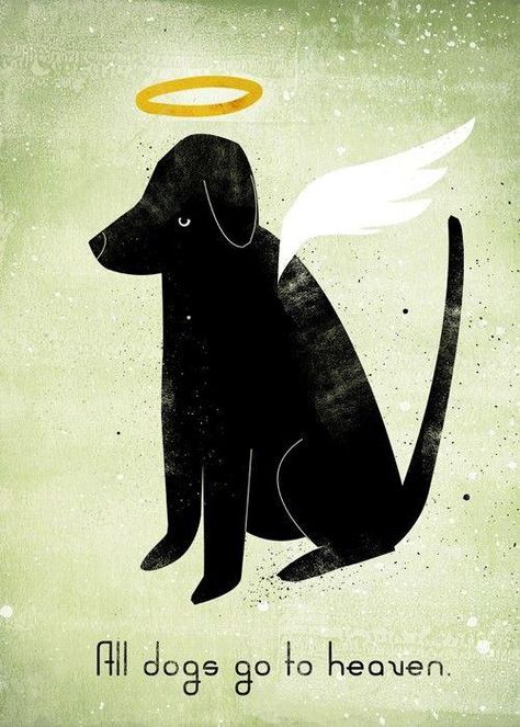 I BELIEVE IT!!  Fancie, Coal, Tippin, Weste, Dottee & Adia are there!! Images Victoriennes, All Dogs Go To Heaven, Dogs Go To Heaven, Angel Halo, Fu Dog, Love My Dog, All Dogs, To Heaven, Animal Quotes