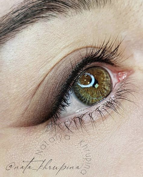 Shaded Eyeliner Tattoo, Stardust Eyeliner Tattoo, Permanent Eyeliner Styles, Permanent Eyeshadow, Eyeliner Permanent Makeup, Mircoblading Eyebrows, Tattoo Eyeliner, Permanent Makeup Eyeliner, Shadow Tattoo