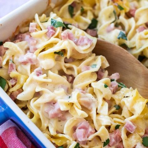 Ham and Noodle Casserole - Casserole Crissy Casarole Dishes, Recipes Using Egg Noodles, Ham And Noodles, Ham Casseroles, Ham Pasta Recipes, Leftover Ham Recipes Crockpot, Leftover Ham Casserole, Ham And Noodle Casserole, Ham Casserole Recipes