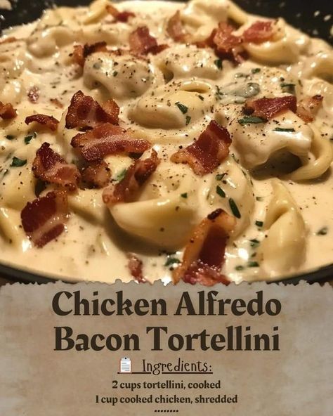 Crenn Recipes, Recipes Chicken Alfredo, Bacon Tortellini, Chicken Bacon Recipes, Tortellini Alfredo, Chicken Shredded, Gordon Ramsay Recipe, Chicken Crockpot Recipes Easy, Chicken Tortellini