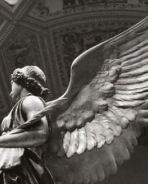 Angel Statue, A Short Story, Short Story, An Angel, Dark Academia, Wattpad, Angel, Statue, Black And White