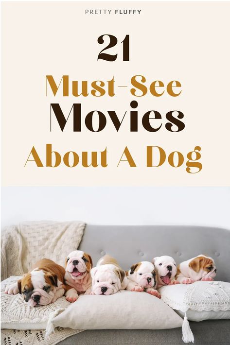 Pet Photography Tips, Living With Dogs, Dog Obsessed, Dog Movies, Diy Dog Treats, See Movie, Dog Party, Holiday Movie, Dog Mama