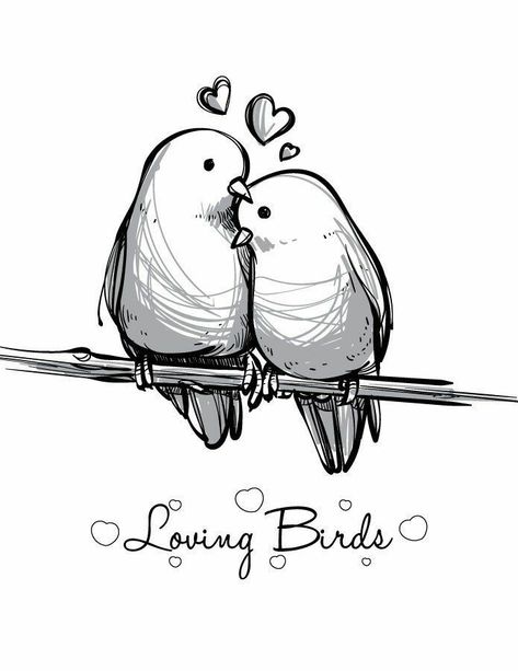 Love Birds Drawing, Valentine Drawing, Valentines Day Drawing, Bird Coloring Pages, Love Bird, St Valentin, Trik Fotografi, Bird Drawings, Love Drawings