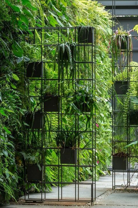 Wall Plants Indoor, Green Wall Plants, Vertikal Garden, Plants Stand, Vertical Garden Wall, Outdoor Gardens Design, Wall Garden, House Plants Decor, Garden Wall Decor