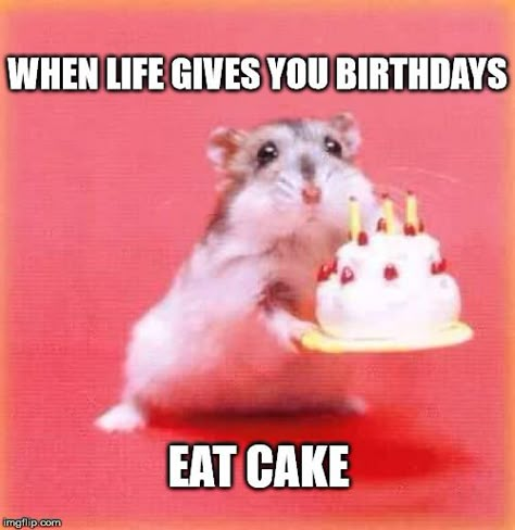 When life gives you birthdays, eat cake.                                                                                                                                                                                 More Belated Birthday Wishes, Happy 17th Birthday, Cute Happy Birthday, Happy Belated Birthday, Happy Birthday Meme, Happy Birthday Funny, Happy Birthday Pictures, Funny Happy Birthday, Belated Birthday