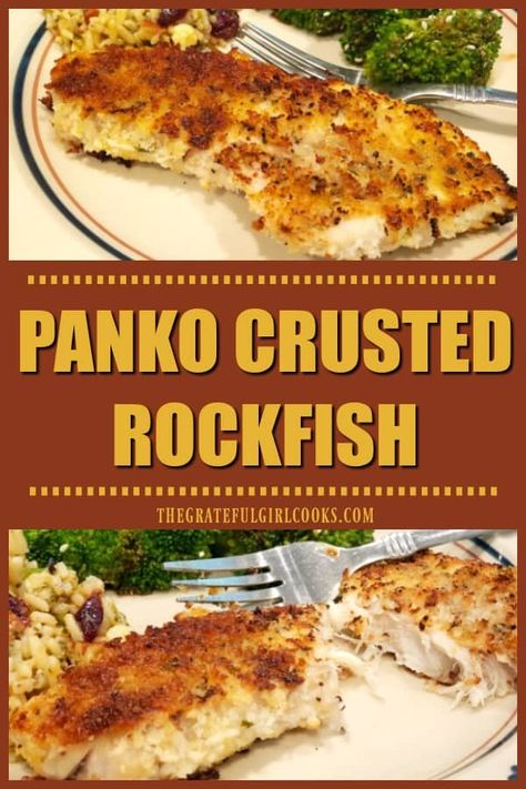 You'll enjoy this simple, delicious recipe for panko crusted rockfish! Fish fillets are seasoned, coated with crispy panko crumbs, and pan-seared. / The Grateful Girl Cooks! Shake And Bake Fish Recipe, Pan Fried Rock Fish Recipe, Baked Striper Fish Recipes, Fried Fish With Panko Crumbs, Rick Fish Recipes, Rock Bass Fish Recipe, Air Fryer Rock Fish, How To Cook Rock Fish, Rock Fish Fillet Recipe