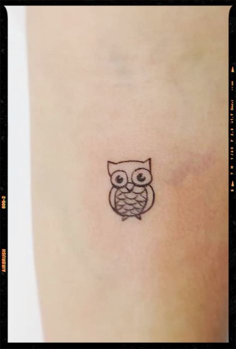 Owl Tattoo Silly, Small Owl Tattoo, Tiny Owl Tattoo, Filter Tattoo, Cute Owl Tattoo, App Filter, Small Owl, Tattoo Simple, Ink Inspiration